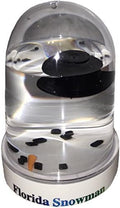 The Original Florida Melted Snowman snowglobe