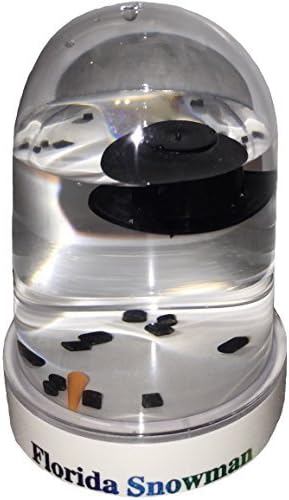 The Original Florida Melted Snowman snowglobe