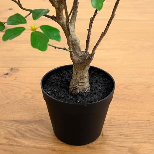 nearly natural 4 ft artificial dogwood tree with on a desk or shelf
