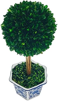 galt international naturally preserved boxwood ball topiary tree, close-up detail