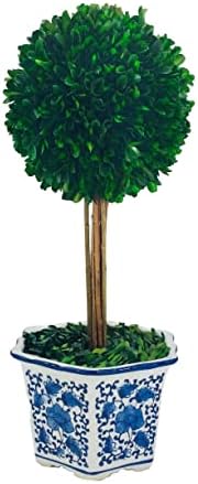galt international naturally preserved boxwood ball topiary tree shown in use