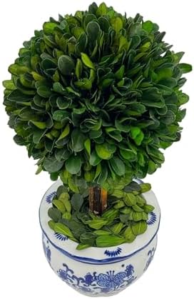 galt international naturally preserved boxwood ball topiary tree, package contents
