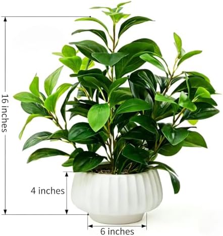 Artificial Peperomia Plants 16” Tall Lifelike Faux Greenery in 6” White Ribbe...