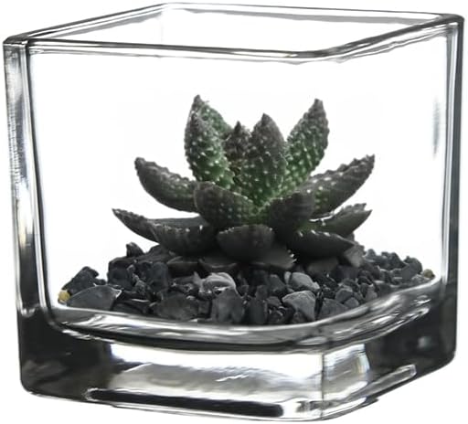 WGV 2 Inch Tea Light Votive Candle Holder, Clear, Square Cube 2”x2”, Small Tiny, Home Décor, Table Top, 1 Pc