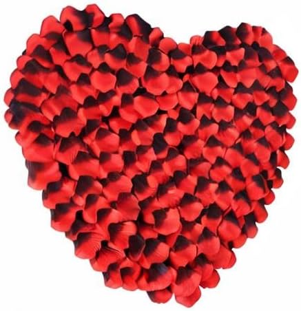 1000 Pcs Artificial Fake Rose Petals,Flower Petals for Romantic Night, Engagement, Party, Wedding, Event Flower Decorations, in Bulk(Dark Reddish with Black)