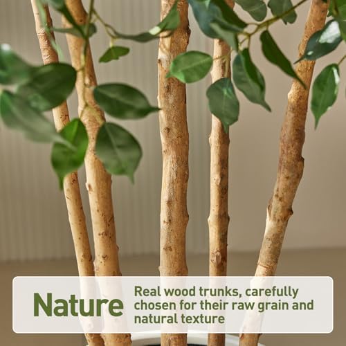 verinatural 8ft artificial ficus tree with white plante&real shown in use