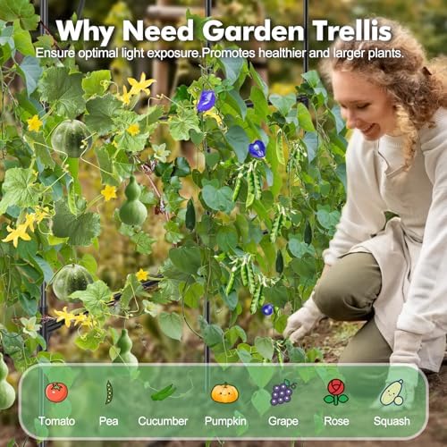 gojaway 7*5.4* 5ft arch metal garden trellis,outdoor climbing on a desk or shelf