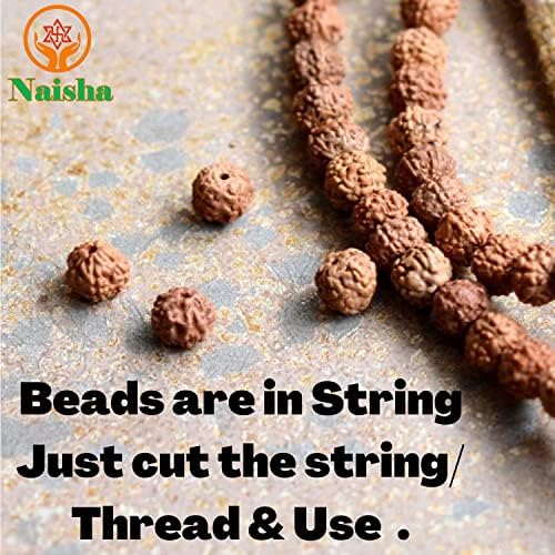 naisha 1001 pcs natural rudraksha beads, 8mm loose shown in use