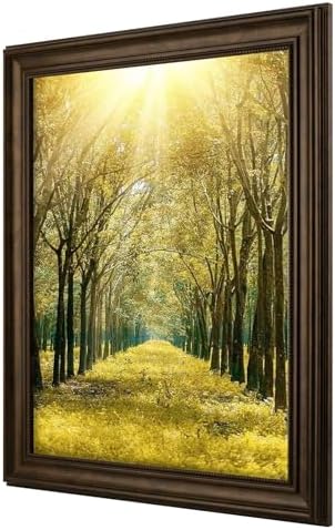 16x20 ornate picture frame,real glass,dark brown poster photo on a desk or shelf