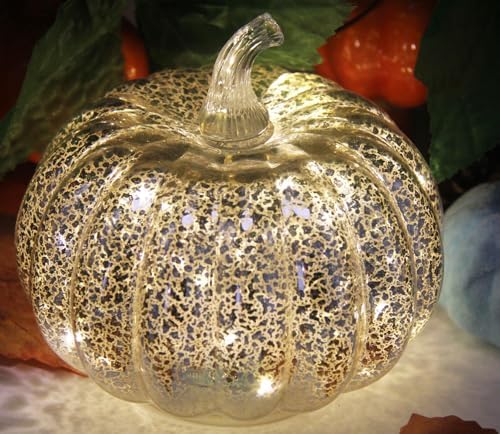 Fall Decorations for Home,Mercury Glass Pumpkin Lights with Timer(Silver)