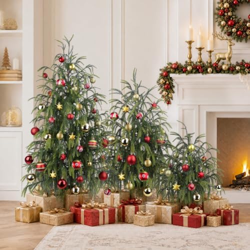 christmas norfolk pine tree, 2ft 3ft 4ft real shown in use