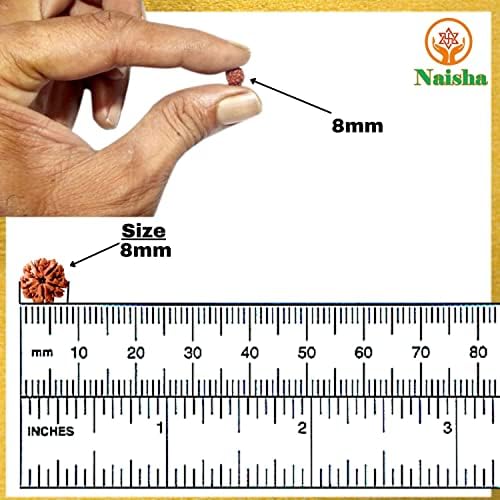 naisha 1001 pcs natural rudraksha beads, 8mm loose, close-up detail