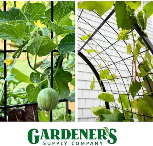 gardener's supply company arch trellis, 2' x 4' on a desk or shelf
