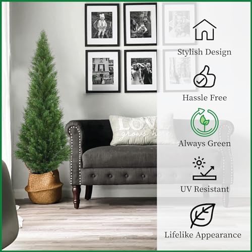 two 5 foot outdoor artificial cedar topiary trees, front angle view
