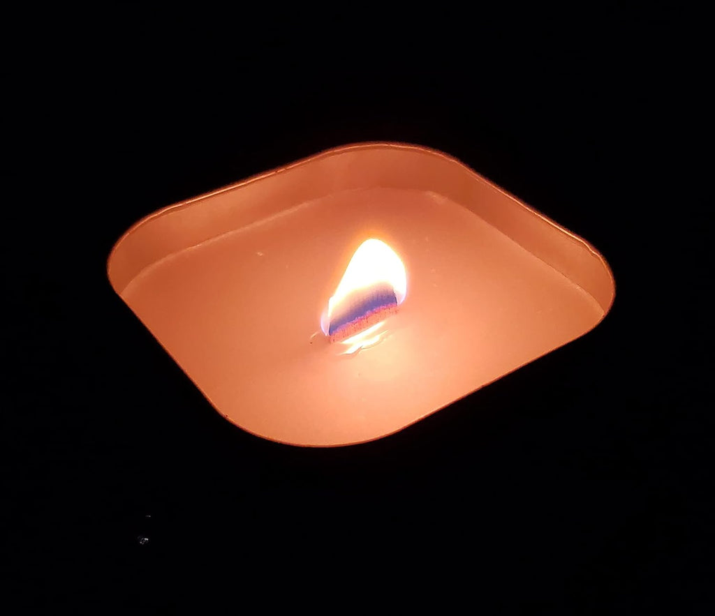 Coleman Pine Scent Citronella Candle with Wooden Crackle Wick - 6 oz