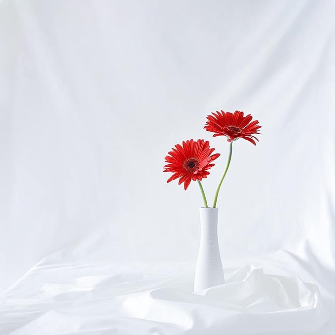 10 x10 FT White Backdrop Background, 100% Polyester Large Pure White Photo Backdrop, Foldable Washable Screen for Photography Party Portrait Photoshoots Booth Video Studio
