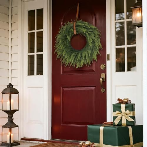 26" lifelike artificial christmas norfolk pine wreath for, side view