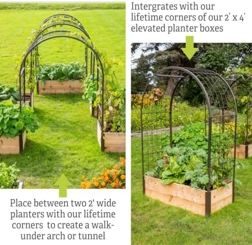 gardener's supply company arch trellis, 2' x 4', side view