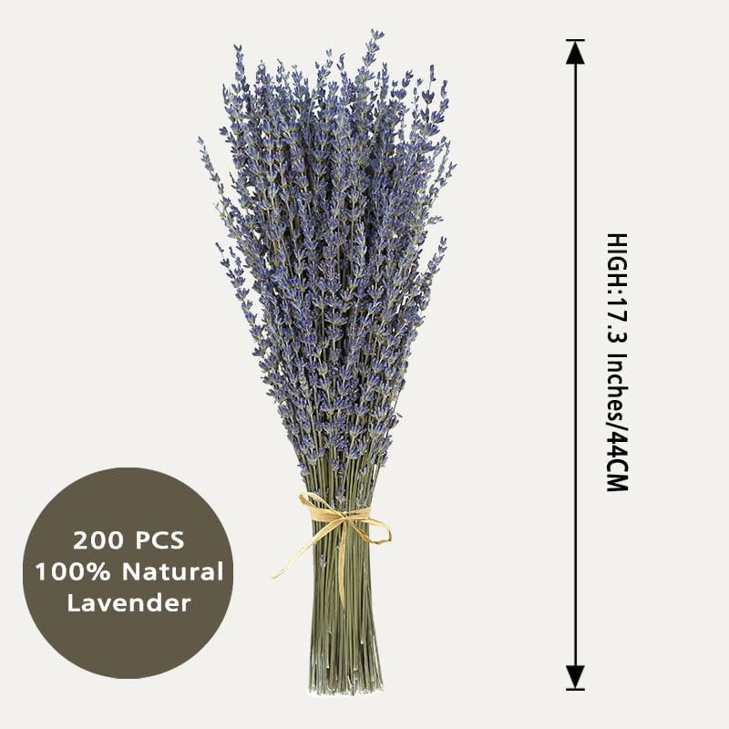 Dried Lavender 2 Bunches 100% Fresh Natural Purple Bouquet Flowers for Bathroom Photo Props Crafts Decoration, 15-17" for Shower Weeding Vase Decor, Home Fragrance(200-220 Stems(100g/3.5oz Total))