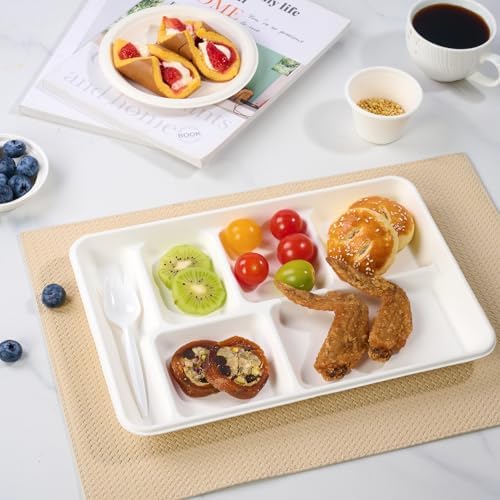 turbo bee compartment paper plates, 100pack disposable divided shown in use
