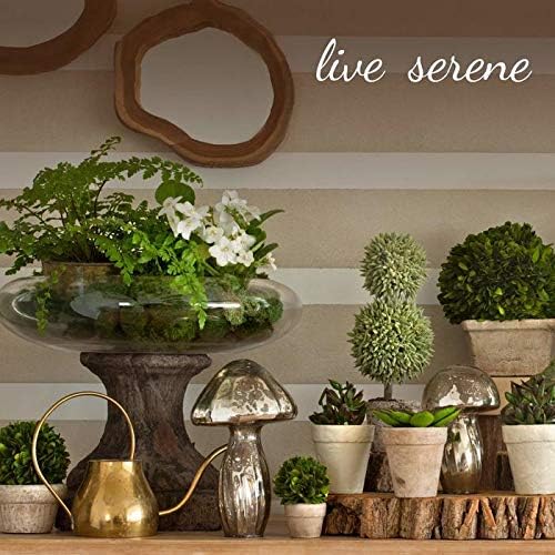 Serene Spaces Living Gold Ribbed Pedestal Glass Votive Holder, Table Centerpiece, Home, Office, Wedding, Birthday, Holiday & Special Events Decor, 3.5" Diameter & 5" Tall, Pack of 24