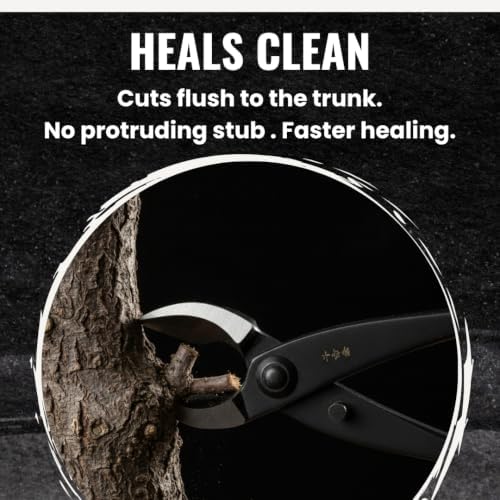 Senkichi 8.3" Japanese Bonsai Concave Cutter – Professional Branch Cutte...