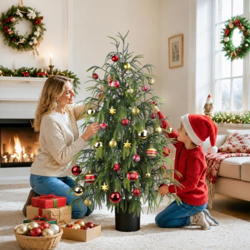 christmas norfolk pine tree, 2ft 3ft 4ft real showing dimensions