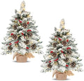 24"/2ft thick snow flocked tabletop christmas tree battery, main product view