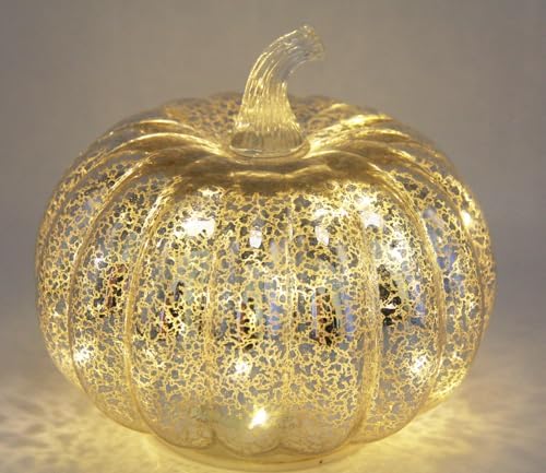 Fall Decorations for Home,Mercury Glass Pumpkin Lights with Timer(Silver)