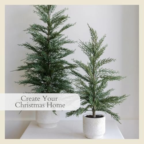 cg hunter, faux evergreen cedar trees, set of on a desk or shelf