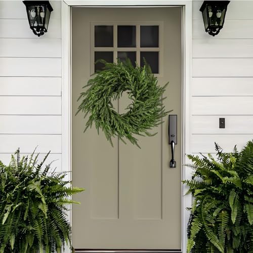 enven 24" norfolk pine wreath for front door on a desk or shelf