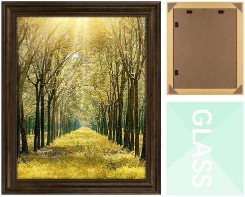 16x20 ornate picture frame,real glass,dark brown poster photo, front angle view