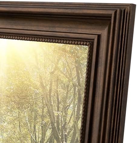 16x20 ornate picture frame,real glass,dark brown poster photo showing dimensions