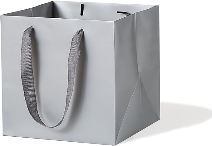 Silver Paper Gift Bags Small Square Bottom Kraft Cardboard Paper Bag With Handles for Baby Shower, Wedding, Birtyday Party (Silver Grey, 6 x 6 x 6 in, 10 Pcs)