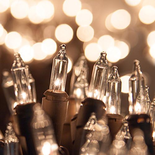 Holiday Pride Clear Christmas Lights with Brown Wire - 100 Count - Warm White Christmas Tree Lights with Brown Cord (22.5 Ft) - Indoor/Outdoor Use - UL Listed - Static & Blinking Modes (Pack of 2)
