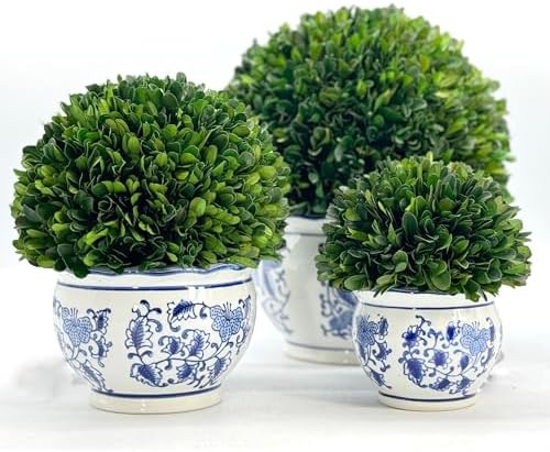 galt international 7" naturally preserved real boxwood ball, package contents