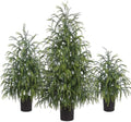 christmas norfolk pine tree, 2ft 3ft 4ft real, main product view