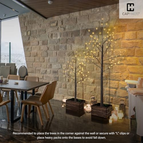 fencer wire set of 3 brown birch trees showing dimensions