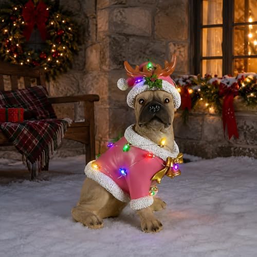 lighted christmas french bulldog statue, pink outfit and, front angle view
