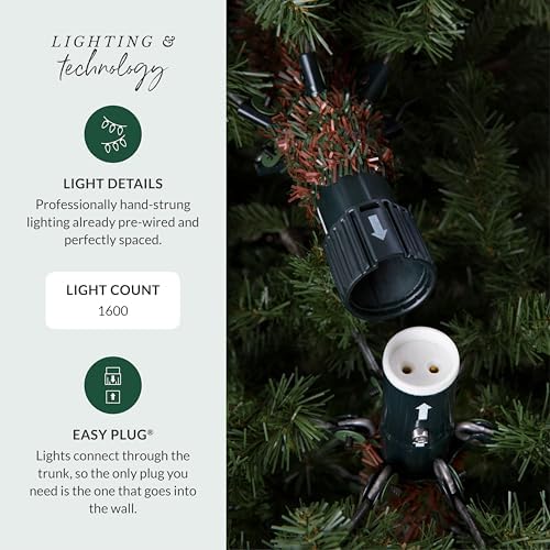 balsam hill 9.5ft pre-lit classic blue spruce showing dimensions