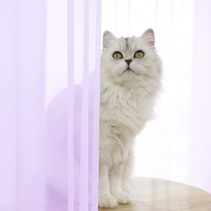Window Purple Sheer Curtains 60 Inches Width 45 Inches Long 2 Panels Sheer Curtain Clear Curtains Basic Rod Pocket Panel for Home Living Room Bedroom Kids Room Yard Patio Parlor Sliding