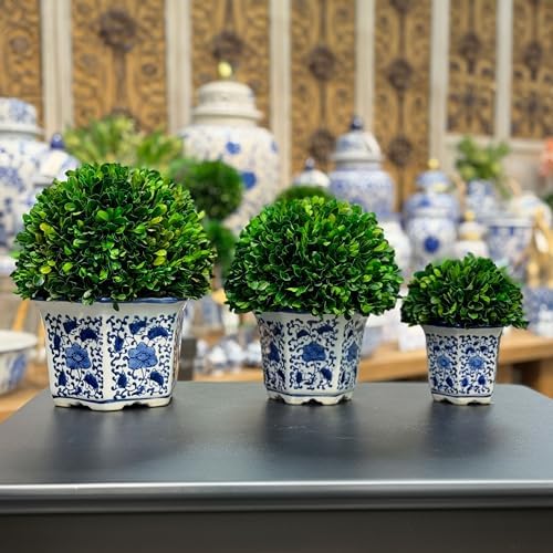 galt international 11" naturally preserved real boxwood ball, front angle view