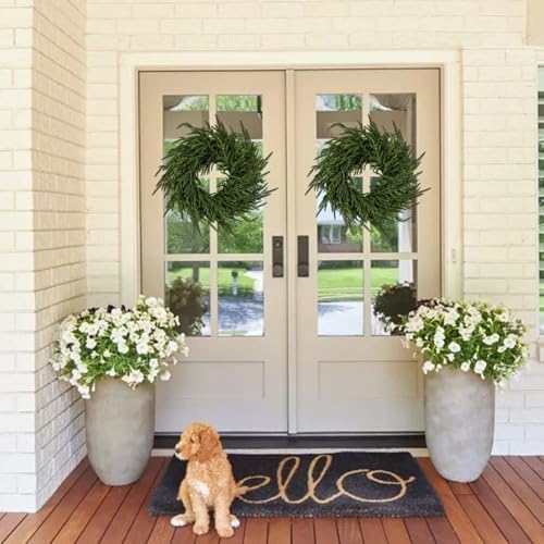 enven 24" norfolk pine wreath for front door shown in use