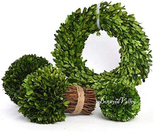 preserved boxwood wreath, 11 inches, green wreath for, side view