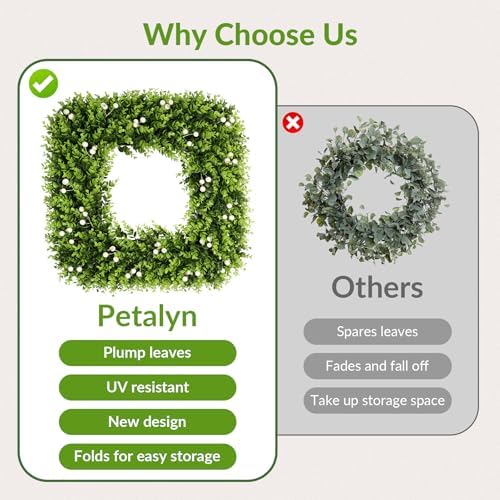 20 in boxwood wreath with white berries, all, front angle view