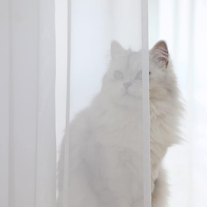 Window Ivory Sheer Curtains 84 Inches Long 2 Panels Sheer Curtain Basic Rod Pocket Panel for Bedroom Children Living Room Yard Kitchen (Ivory, 52" W x 84" L | 2 pcs)