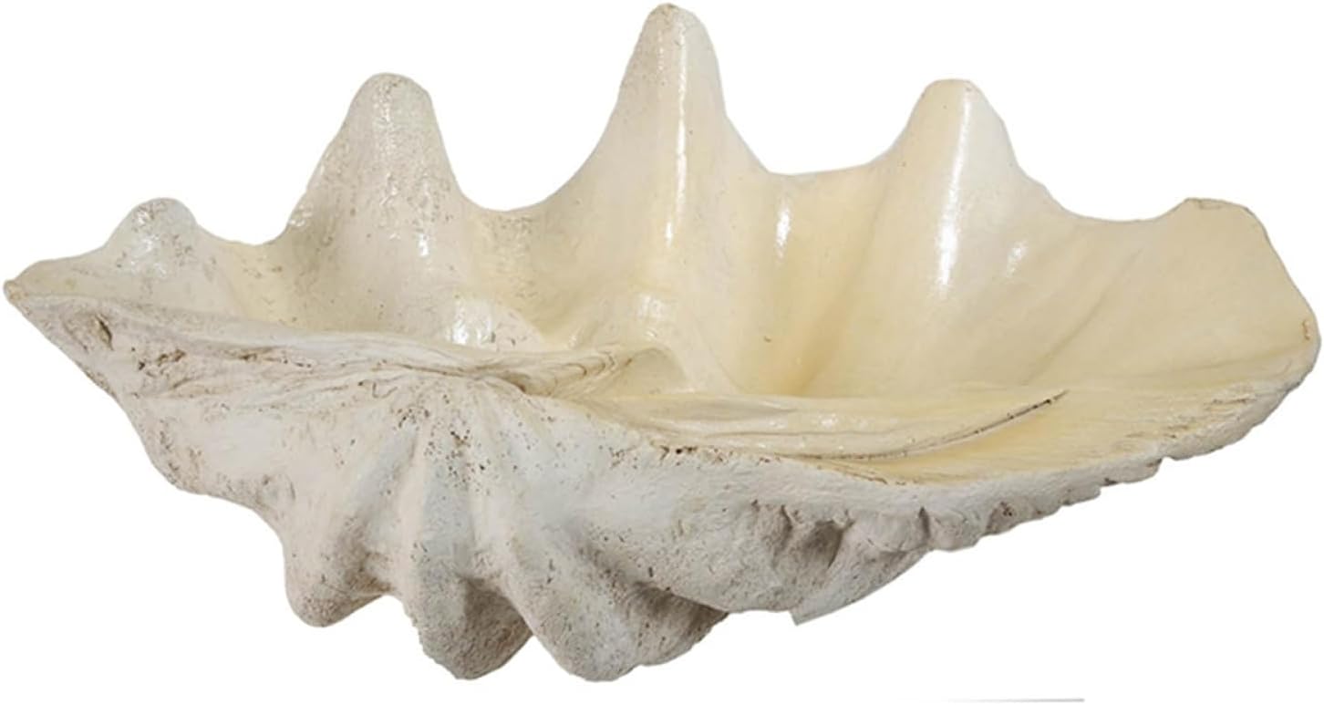 Large Clam Shell Accent