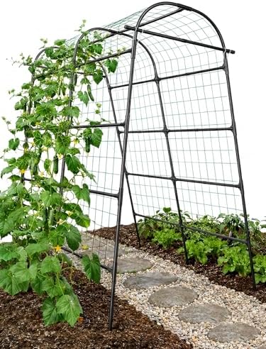 gojaway 7*5.4* 5ft arch metal garden trellis,outdoor climbing, main product view
