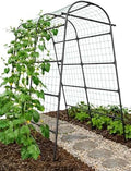gojaway 7*5.4* 5ft arch metal garden trellis,outdoor climbing, main product view