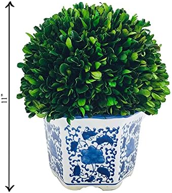 galt international 11" naturally preserved real boxwood ball, close-up detail